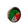 MANOMETRO ISOMET  Ø 100 DORSAL 1/2  0-60 BAR