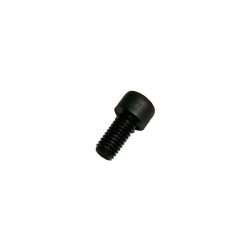 TORNILLO TAPA CARTER Nº 29