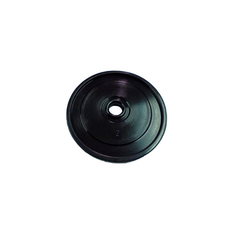 MEMBRANA PRESION ZENYZ 45/50  6976 