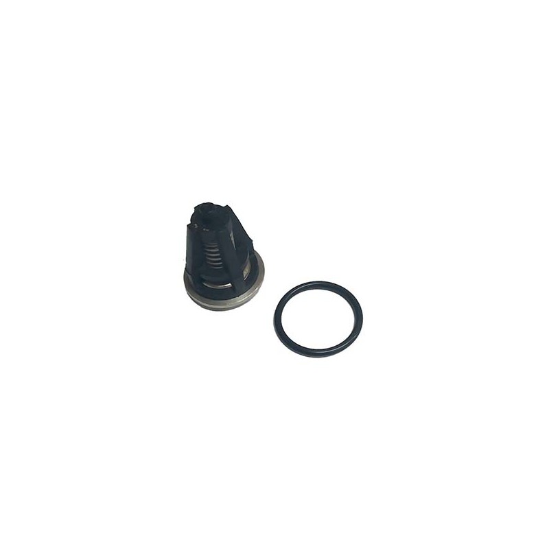VALVULA COMPLETA BIII-X  igual a T-50 GP 060020367