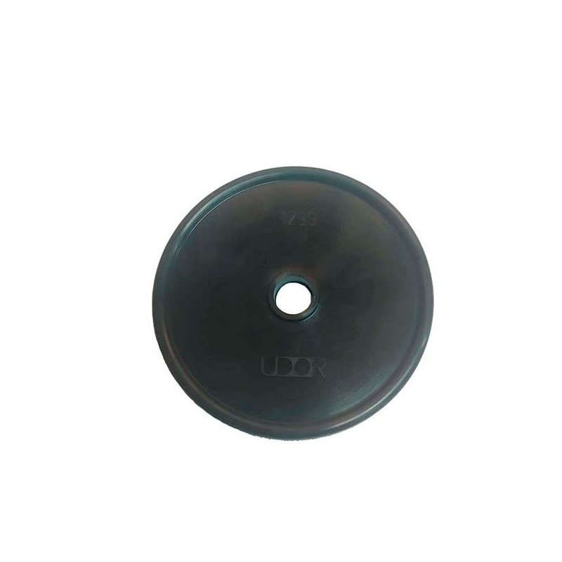 MEMBRANA PRESION KAPPA 30-40-50/Z-100  090313 
