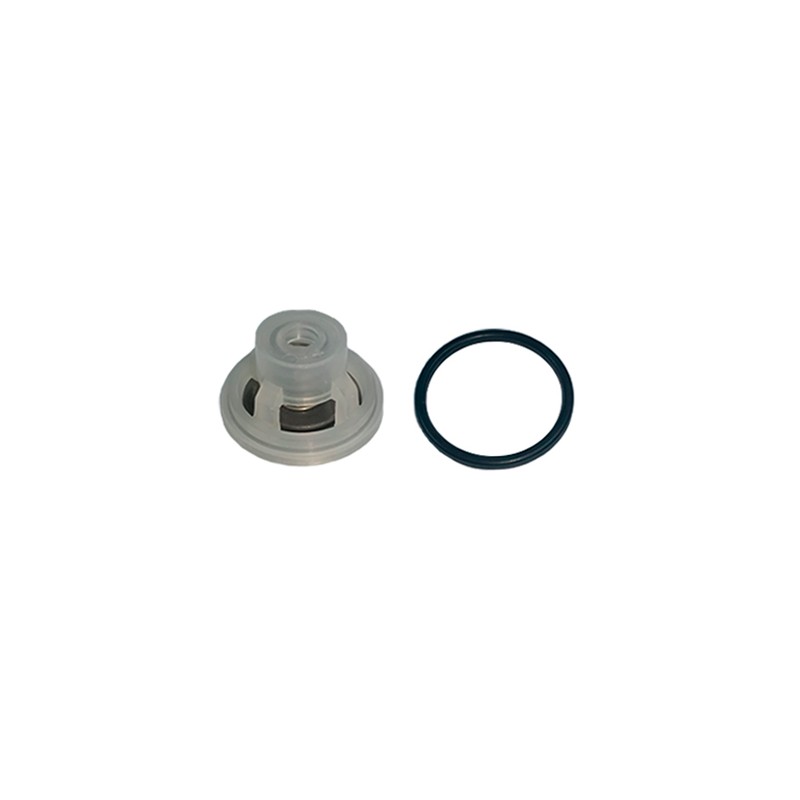 KIT VALVULAS PA 330/430 blancas