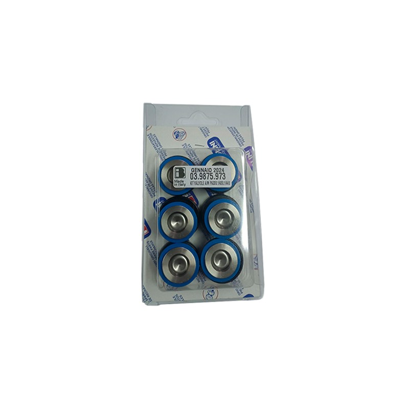 KIT VALVULAS PA 330/430 azules Nuevas   Juntas