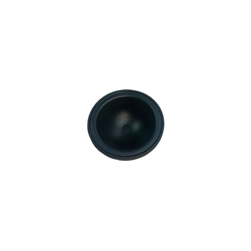 MEMBRANA VISOR ACEITE PA-124/ Poly 2210   RVY050 