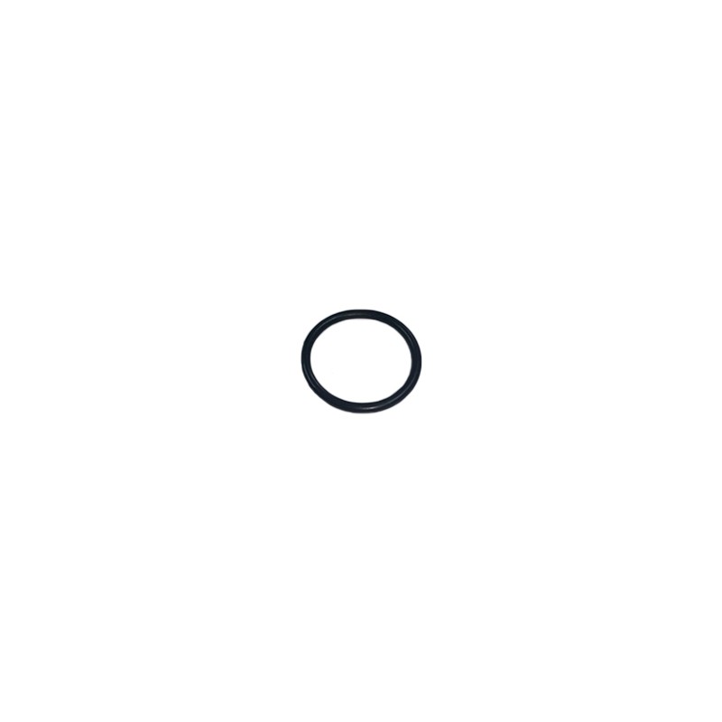 ANELLO OR 2 62 X 25 7 PA-330