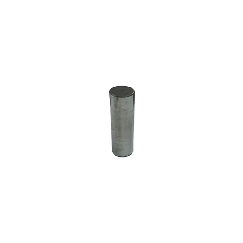 BULON PISTON Ø 15 X 46 mm PA-530