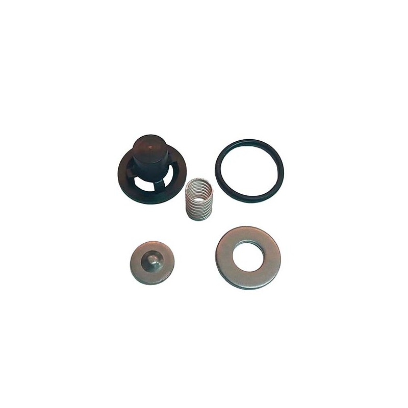KIT VALVULA MC 25 cpta 
