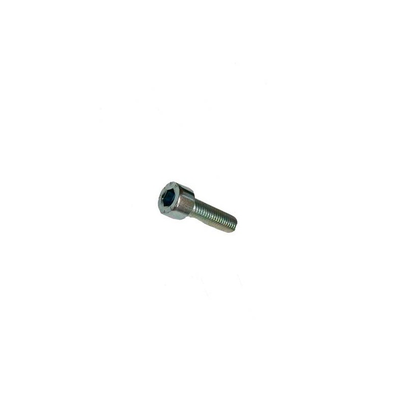TORNILLO VASO ACEITE APS 101-121