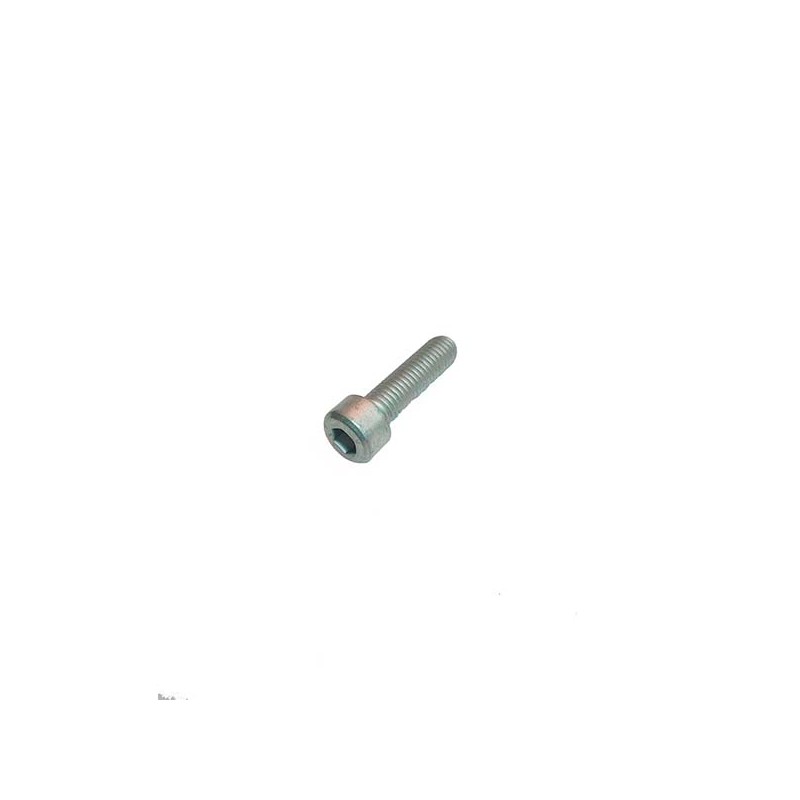 TORNILLO 8X 30 APS 41