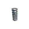 Muelle cuerpo sup  Valv  Reg  BS Nº 5