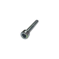 Tornillo 55x8 Valv  Reg  BS Nº 17